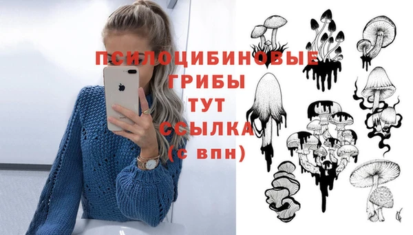 твердый Алексин